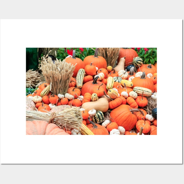 Autumn Butternut Pumpkins Wheat Nature Photography Wall Art by ernstc